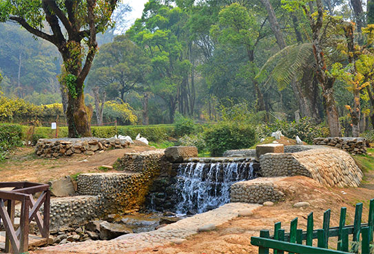 Godavari national botanical garden and Phulchowki hill excursion