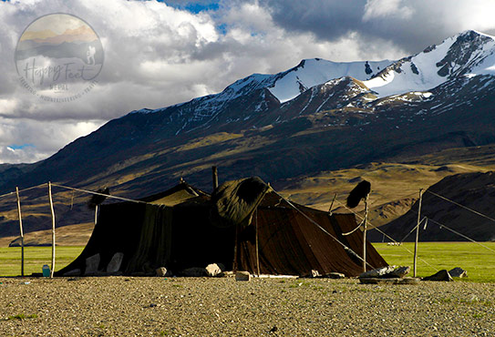 Tso Moriri Trek in Ladakh